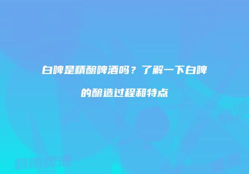 白啤是精酿啤酒吗？了解一下白啤的酿造过程和特点