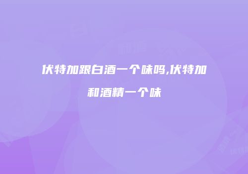 伏特加跟白酒一个味吗,伏特加和酒精一个味