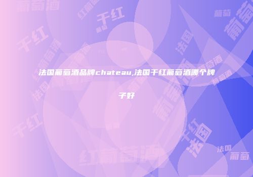 法国葡萄酒品牌chateau,法国干红葡萄酒哪个牌子好