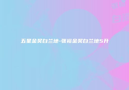 五星金奖白兰地-张裕金奖白兰地5升