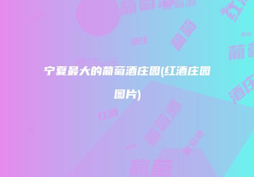 宁夏最大的葡萄酒庄园(红酒庄园图片)