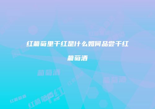 红葡萄里干红是什么如何品尝干红葡萄酒