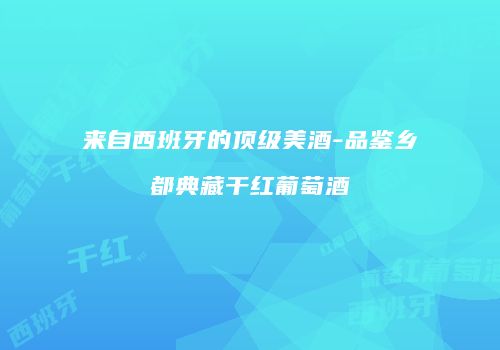 来自西班牙的顶级美酒-品鉴乡都典藏干红葡萄酒