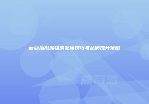 葡萄酒沉淀物的处理技巧与品质提升策略