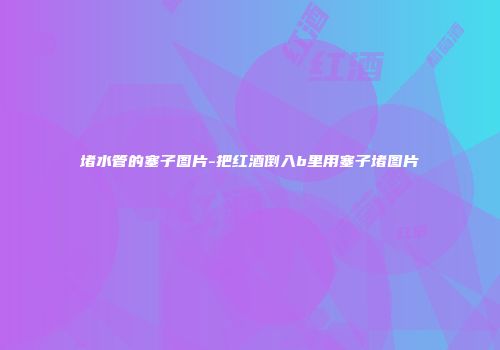 堵水管的塞子图片-把红酒倒入b里用塞子堵图片