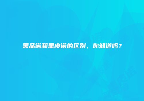 黑品诺和黑皮诺的区别，你知道吗？