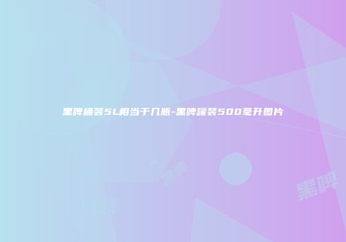 黑啤桶装5L相当于几瓶-黑啤罐装500毫升图片