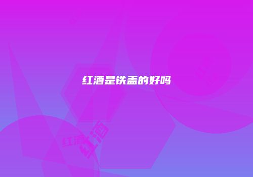 红酒是铁盖的好吗