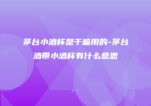 茅台小酒杯是干嘛用的-茅台酒带小酒杯有什么意思