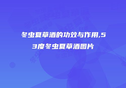 冬虫夏草酒的功效与作用,53度冬虫夏草酒图片