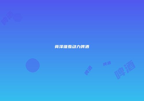 荷泽维雪动力啤酒