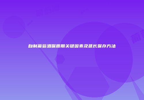 自制葡萄酒保质期关键因素及延长保存方法