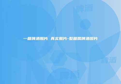 一箱啤酒照片 真实照片-整箱喝啤酒图片