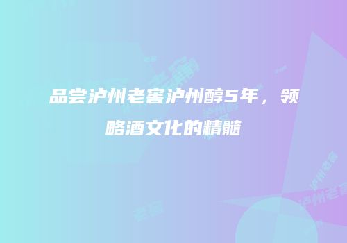 品尝泸州老窖泸州醇5年，领略酒文化的精髓