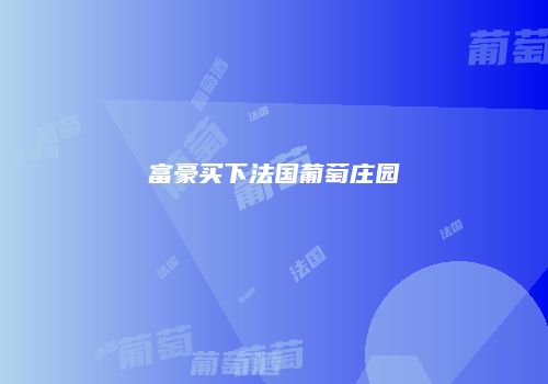 富豪买下法国葡萄庄园
