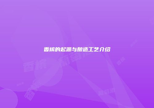 香槟的起源与酿造工艺介绍