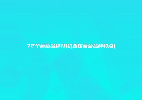 72个葡萄品种介绍(西拉葡萄品种特点)