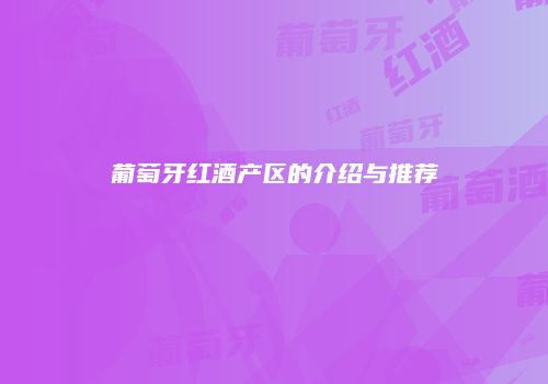 葡萄牙红酒产区的介绍与推荐