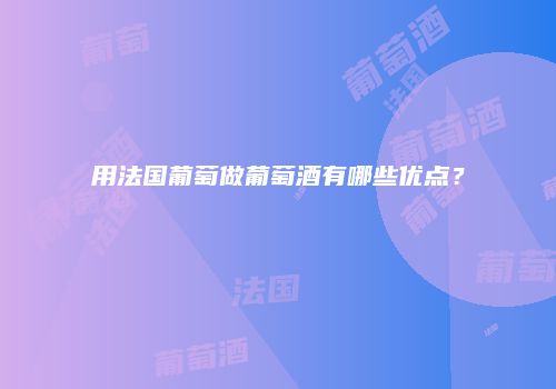 用法国葡萄做葡萄酒有哪些优点？