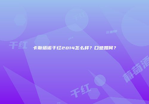 卡斯塔诺干红2014怎么样？口感如何？