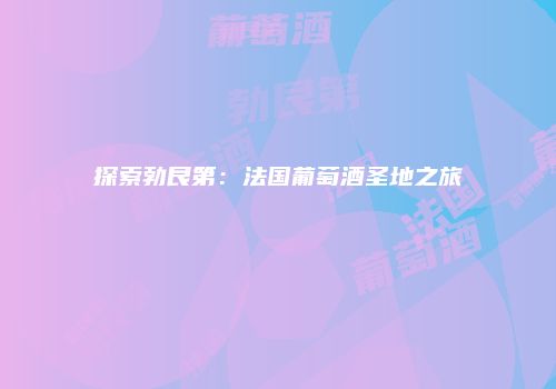 探索勃艮第：法国葡萄酒圣地之旅