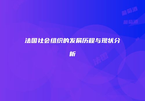 法国社会组织的发展历程与现状分析