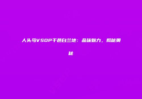 人头马VSOP干邑白兰地：品味魅力，揭秘奥秘