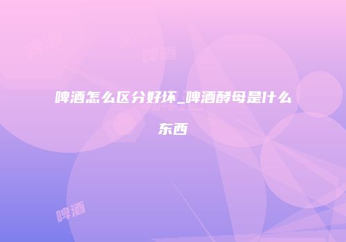 啤酒怎么区分好坏_啤酒酵母是什么东西