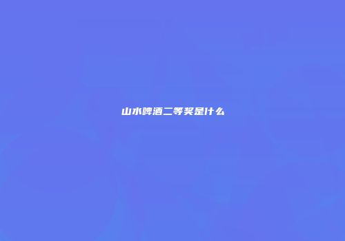 山水啤酒二等奖是什么
