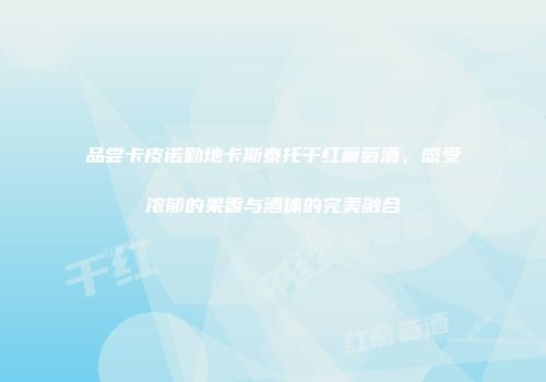 品尝卡皮诺勤地卡斯泰托干红葡萄酒，感受浓郁的果香与酒体的完美融合