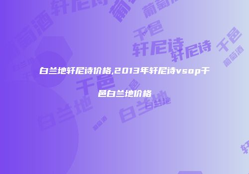 白兰地轩尼诗价格,2013年轩尼诗vsop干邑白兰地价格