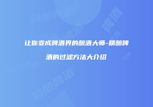 让你变成啤酒界的酿酒大师-精酿啤酒的过滤方法大介绍