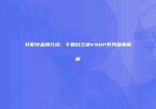 轩尼诗品牌介绍：干邑白兰地VSOP系列深度解析
