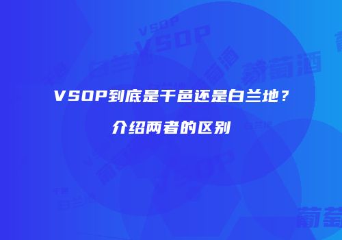VSOP到底是干邑还是白兰地？介绍两者的区别