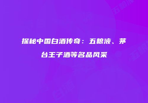 探秘中国白酒传奇：五粮液、茅台王子酒等名品风采