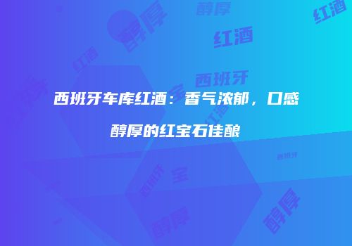 西班牙车库红酒：香气浓郁，口感醇厚的红宝石佳酿