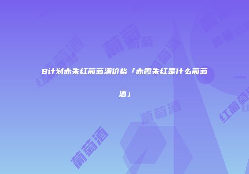 B计划赤朱红葡萄酒价格「赤霞朱红是什么葡萄酒」
