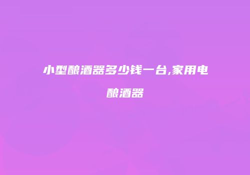 小型酿酒器多少钱一台,家用电酿酒器