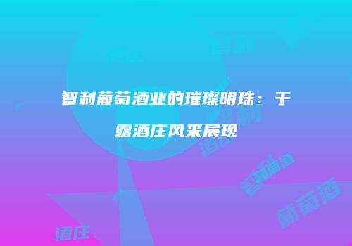 智利葡萄酒业的璀璨明珠：干露酒庄风采展现
