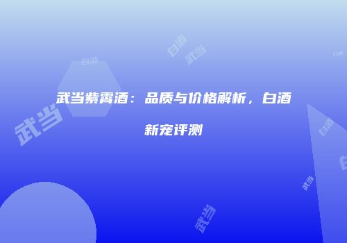 武当紫霄酒：品质与价格解析，白酒新宠评测