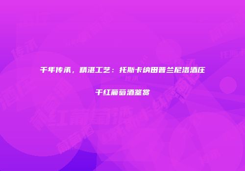 千年传承，精湛工艺：托斯卡纳田普兰尼洛酒庄干红葡萄酒鉴赏