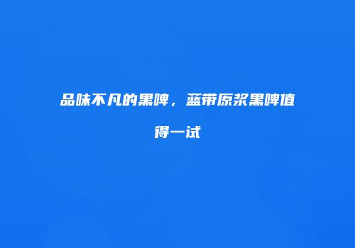 品味不凡的黑啤，蓝带原浆黑啤值得一试