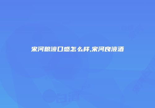 宋河粮液口感怎么样,宋河良液酒