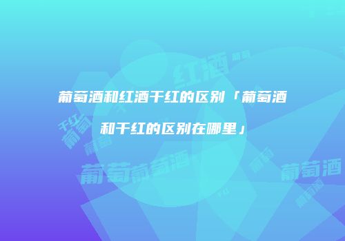 葡萄酒和红酒干红的区别「葡萄酒和干红的区别在哪里」