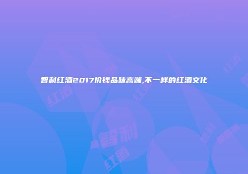 智利红酒2017价钱品味高端,不一样的红酒文化