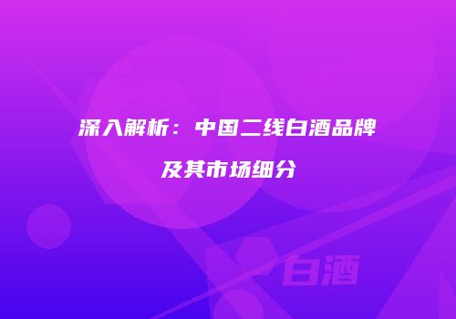 深入解析：中国二线白酒品牌及其市场细分