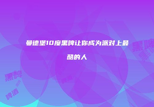 曼德堡10度黑啤让你成为派对上最酷的人