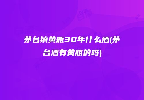 茅台镇黄瓶30年什么酒(茅台酒有黄瓶的吗)