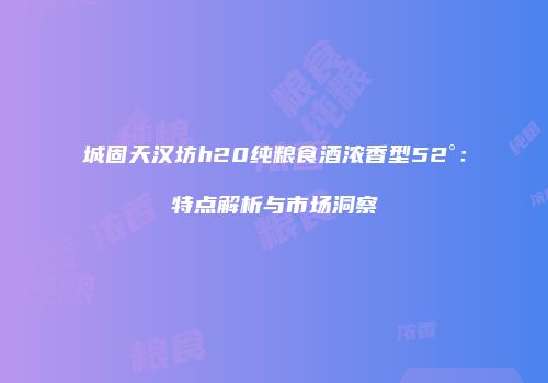 城固天汉坊h20纯粮食酒浓香型52°：特点解析与市场洞察
