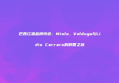 巴西红酒品牌特色：Miolo、Valduga与Lidio Carraro的醇香之旅